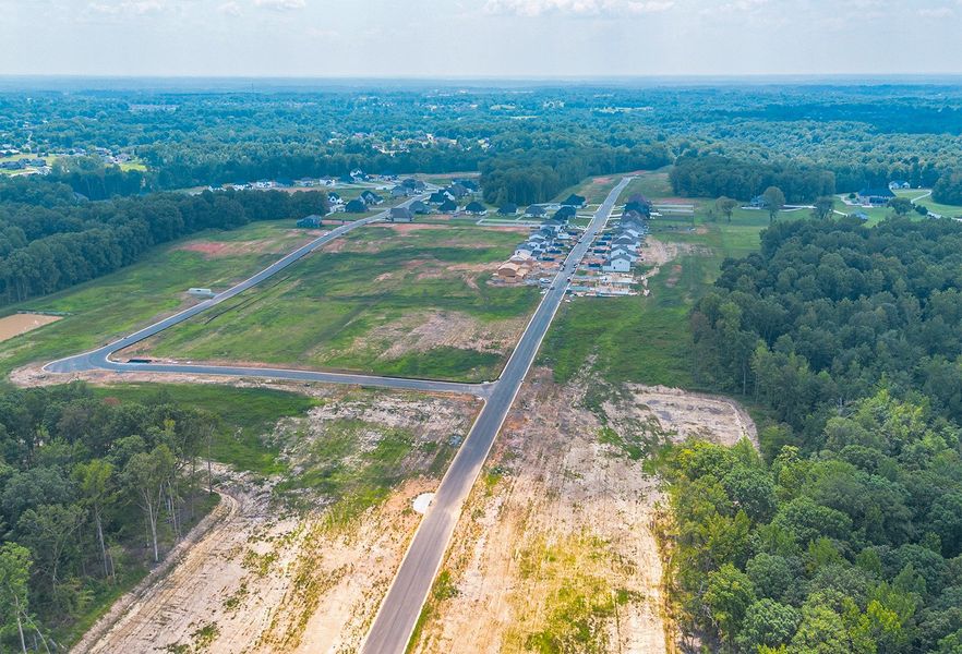 A road with trees and grass.