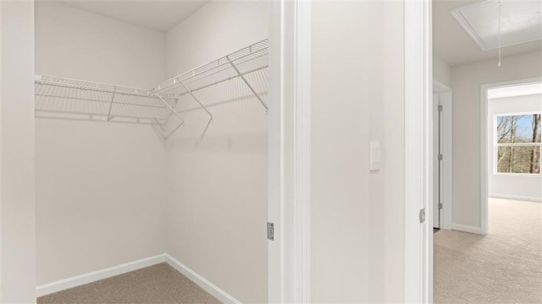 Spacious, unfurnished interior of a new home in Echo Glen, Stockbridge (Image 43).