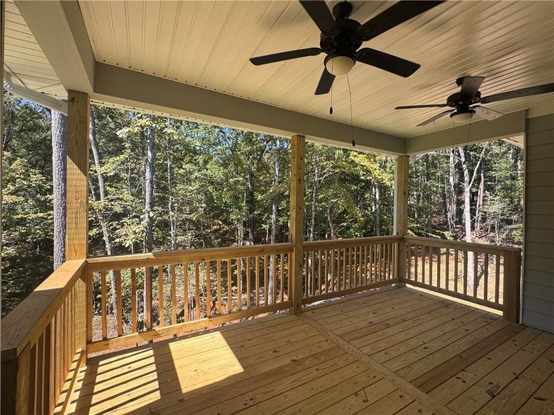 Exterior details and patio area of a home in The Fields of Walnut Creek, Pendergrass (Image 4).