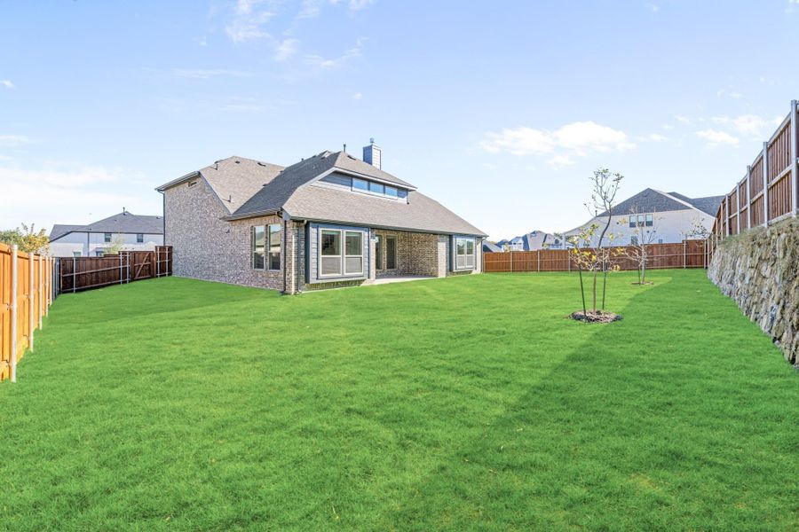Backyard of a brick two-story home with large green lawn, young tree, and wood privacy fence Backyard of a brick two-story home with large green lawn, young tree, and wood privacy fence
