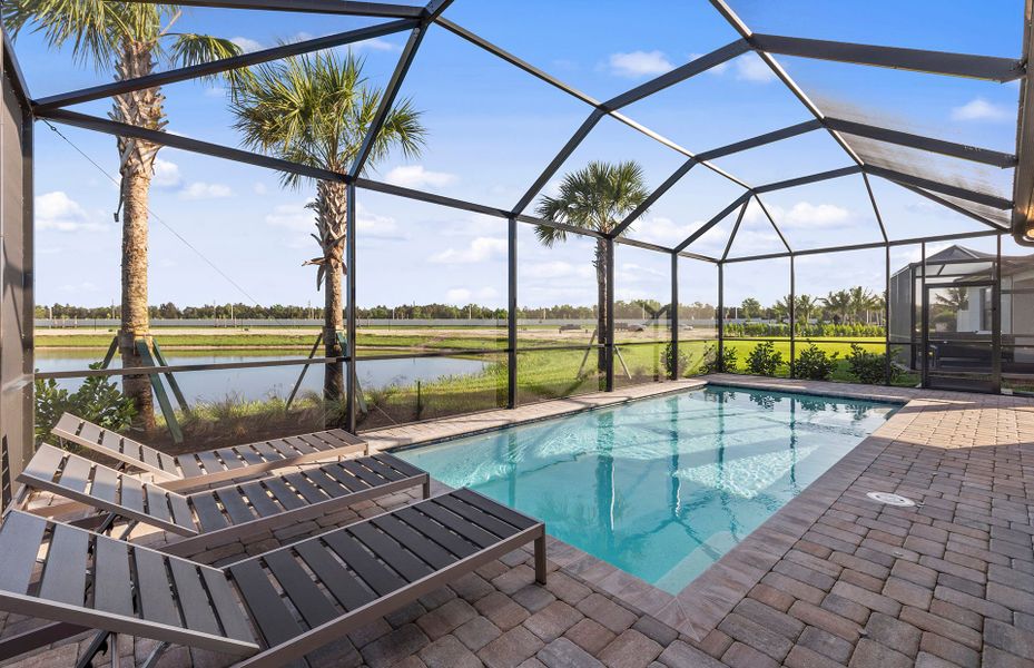 Pool with screen enclosure Pool with screen enclosure