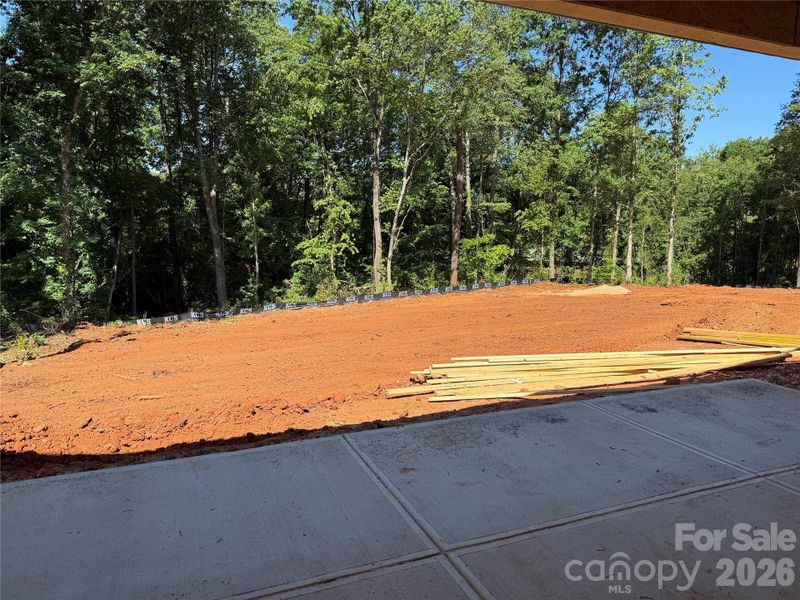 Patio & Backyard
