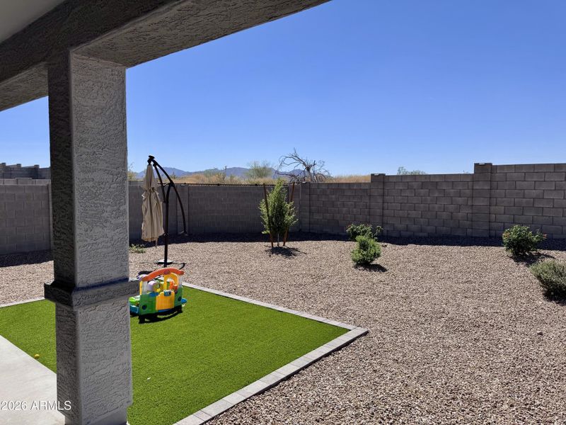 Low Maintenance Backyard