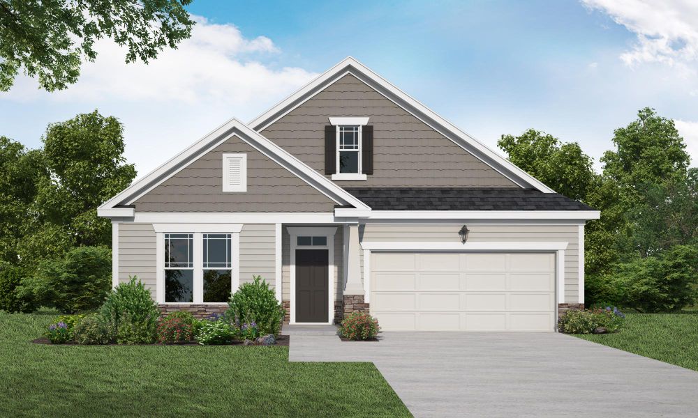 Stanford Elevation D