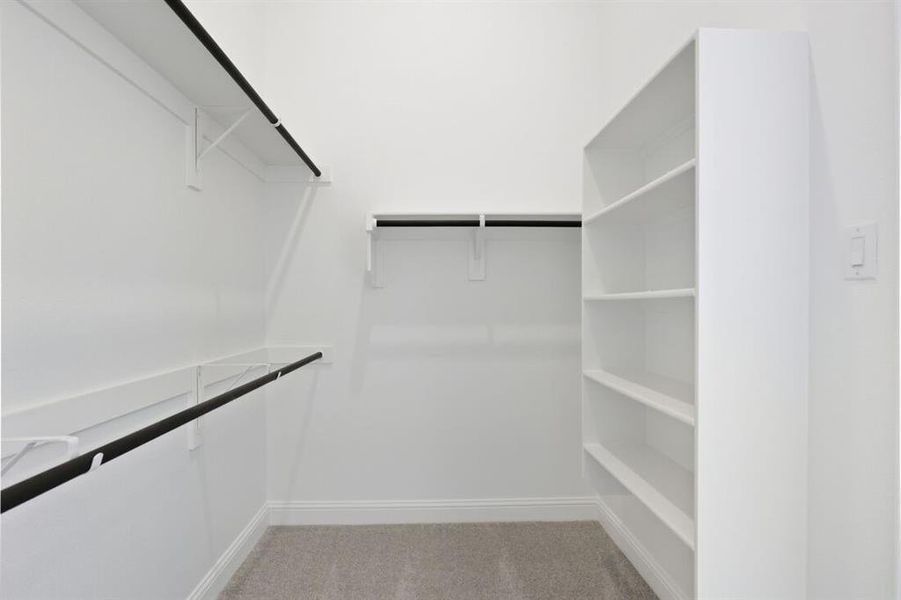 1017 Rainshower ~ Ready Now 1017 Rainshower ~ Ready Now