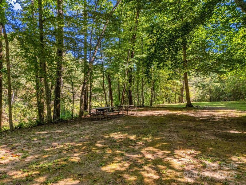 Natural landscape and outdoor views near  in Mill Spring (Image 26).