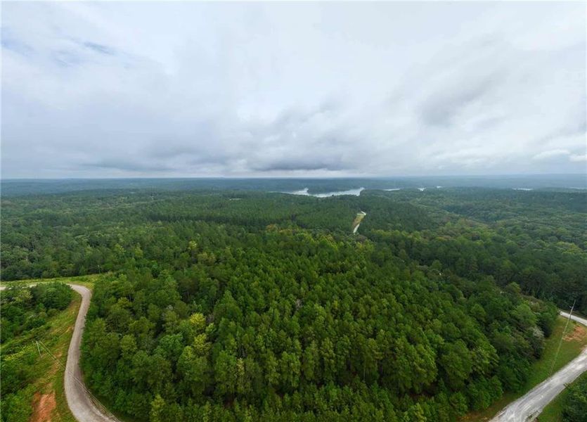 Natural landscape and outdoor views near  in Elberton (Image 7).