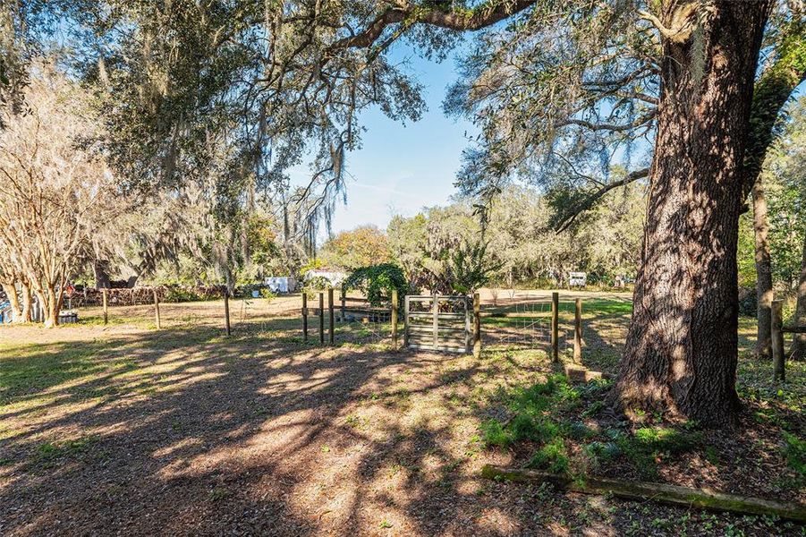 Natural landscape and outdoor views near  in Weirsdale (Image 35).