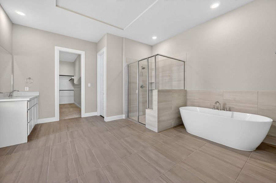 Full bathroom featuring vanity, a stall shower, a spacious closet, a freestanding tub, and recessed lighting