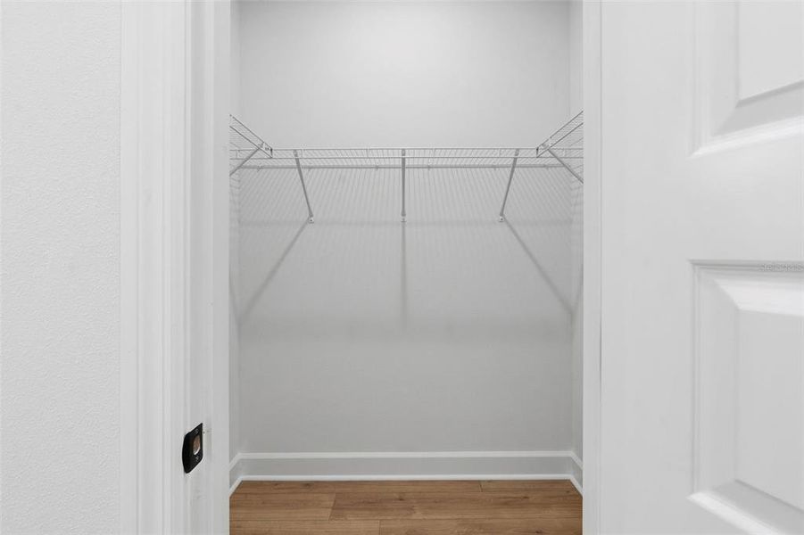 Spacious, unfurnished interior of a new home in , Tampa (Image 27).