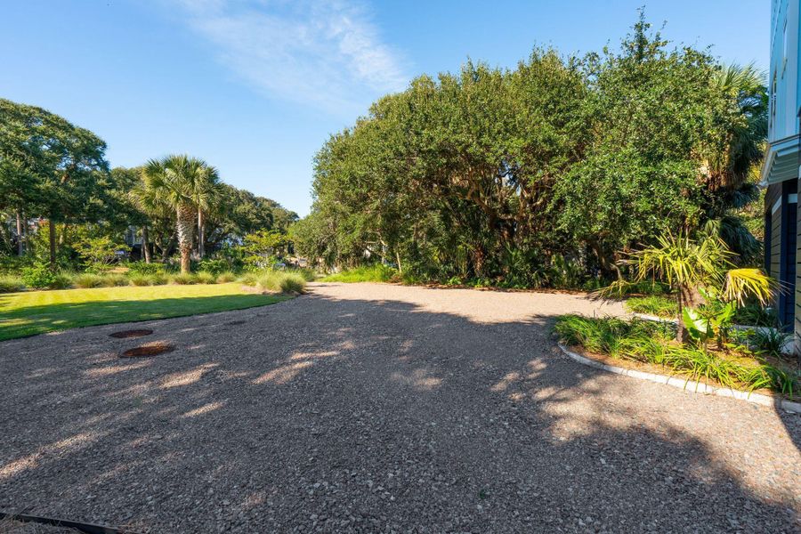 Natural landscape and outdoor views near  in Folly Beach (Image 62).