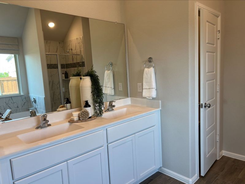 Owner's Bathroom