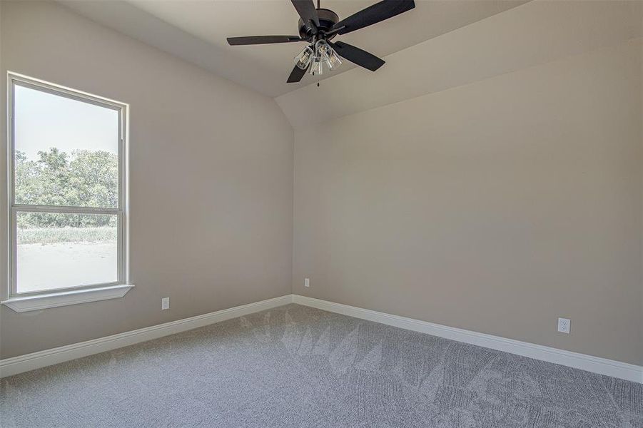 Unfurnished room featuring ceiling fan, carpet flooring, a healthy amount of sunlight, and vaulted ceiling