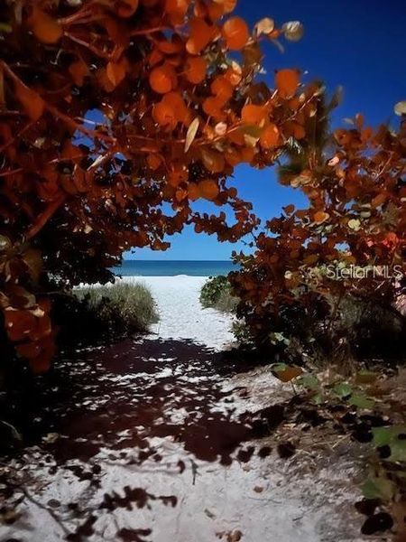 Natural landscape and outdoor views near in Holmes Beach (Image 3). Natural landscape and outdoor views near in Holmes Beach (Image 3).