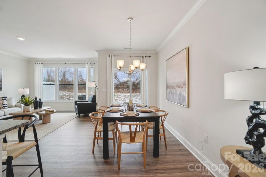 Photos are representative