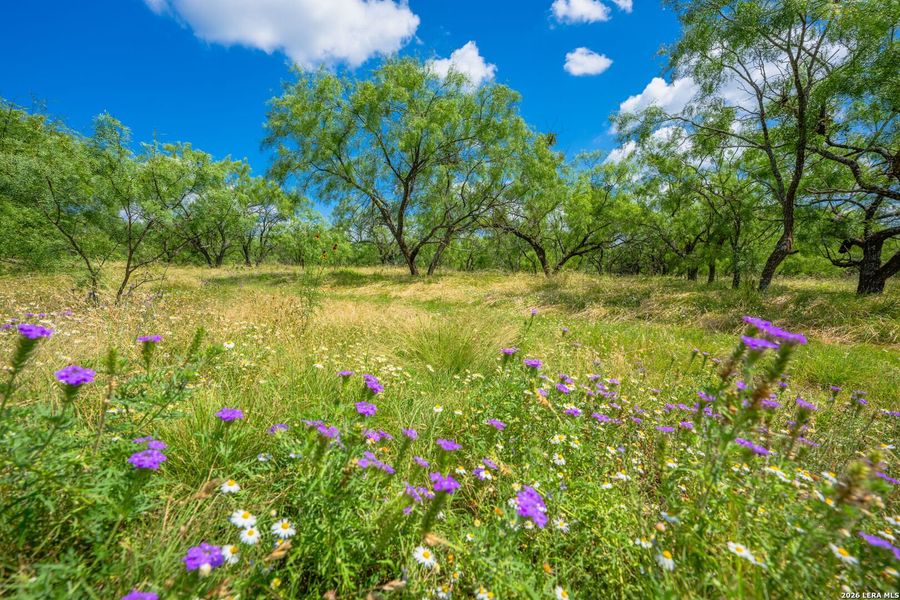 Natural landscape and outdoor views near in Menard (Image 37). Natural landscape and outdoor views near in Menard (Image 37).