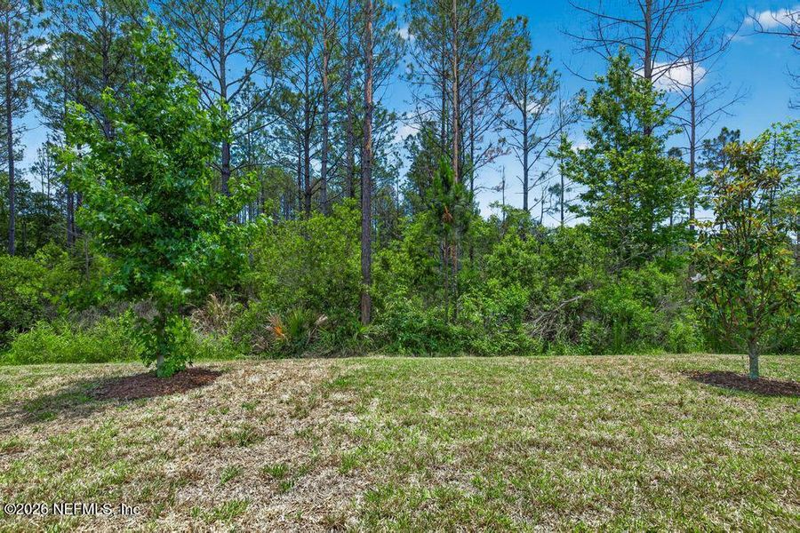 Natural landscape and outdoor views near St Augustine Lakes in St. Augustine (Image 54).