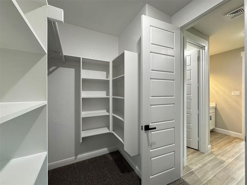 Walk-in closet featuring extensive built-in shelving, a hanging rod, and dark carpet flooring