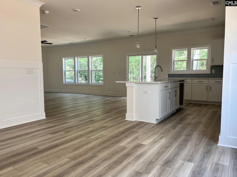 Spacious, unfurnished interior of a new home in Blythewood Farms, Blythewood (Image 9). Spacious, unfurnished interior of a new home in Blythewood Farms, Blythewood (Image 9).