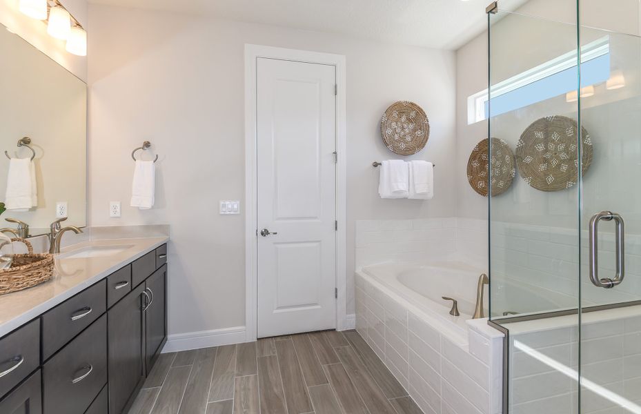 Owner's Bath with Walk-In Shower and Soaking Tub