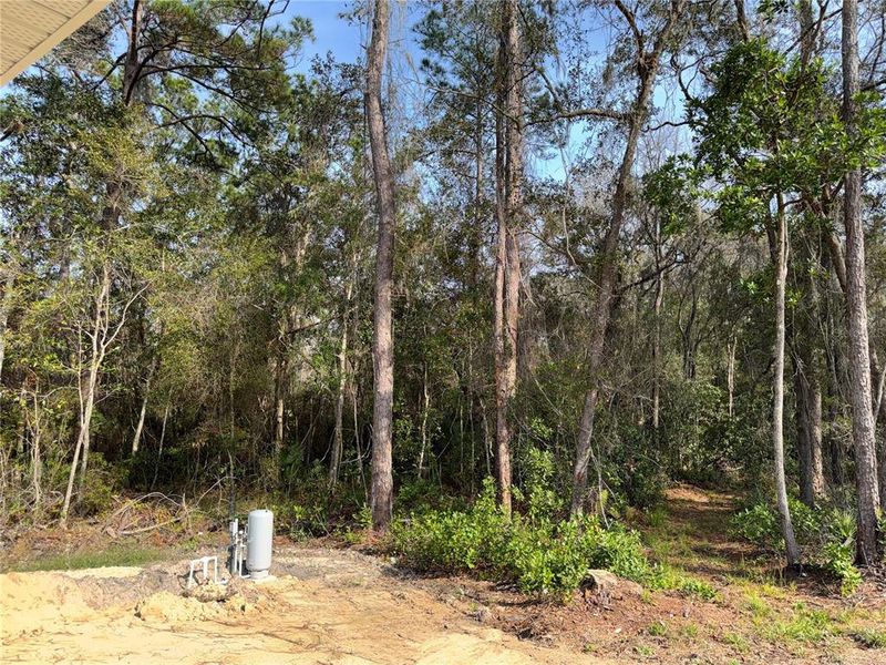 Natural landscape and outdoor views near in Ocala (Image 16). Natural landscape and outdoor views near in Ocala (Image 16).