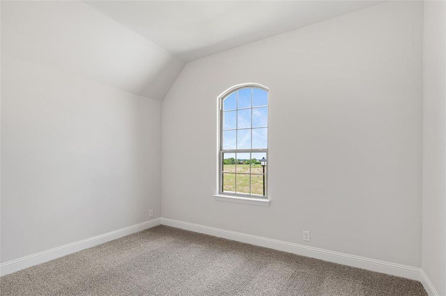 Additional living space featuring vaulted ceiling and carpet floors
