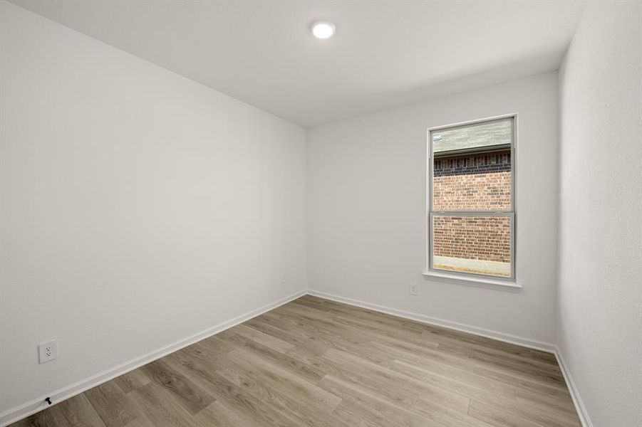 3132 Areca- Study-1 3132 Areca- Study-1