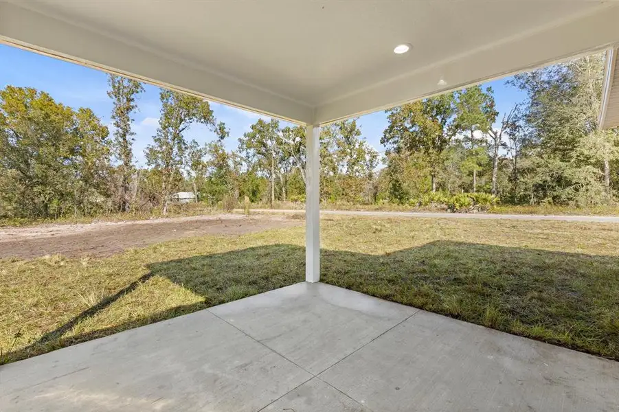 Exterior details and patio area of a home in , Ocklawaha (Image 3).