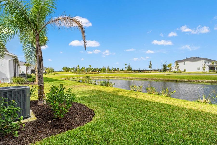 Natural landscape and outdoor views near  in Bradenton (Image 42).