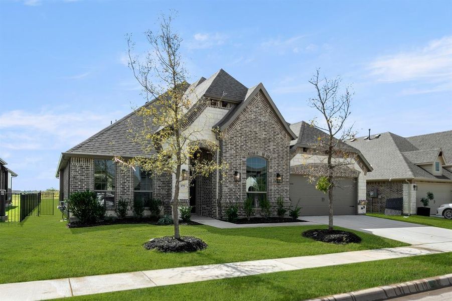 375 Paddle Boat- Front-2 375 Paddle Boat- Front-2