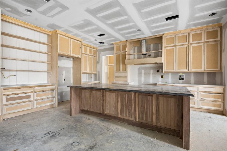 Chef inspired kitchen taking shape with a spacious footprint designed for a 42 inch built in refrigerator, 36 to 48 inch range, and oversized island. Recessed lighting, under cabinet wiring, and open flow to the living and dining areas make this Oak Forest new construction ideal for gathering. Chef inspired kitchen taking shape with a spacious footprint designed for a 42 inch built in refrigerator, 36 to 48 inch range, and oversized island. Recessed lighting, under cabinet wiring, and open flow to the living and dining areas make this Oak Forest new construction ideal for gathering.