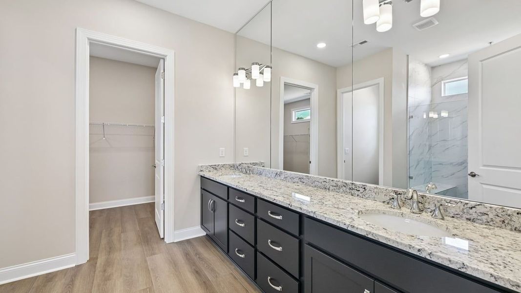 Owner's Bath