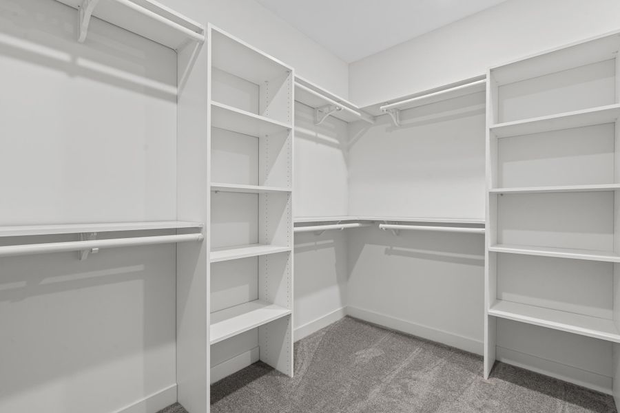 Walk in closet with light carpet