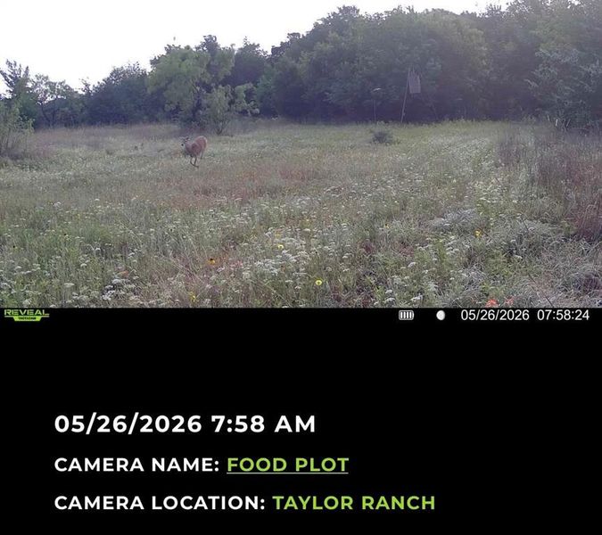 Property Camera