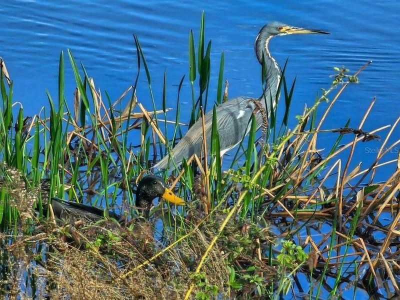 Natural landscape and outdoor views near  in Oxford (Image 71).