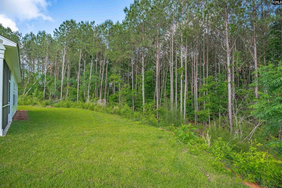 Natural landscape and outdoor views near Rolling Hills in Prosperity (Image 42).