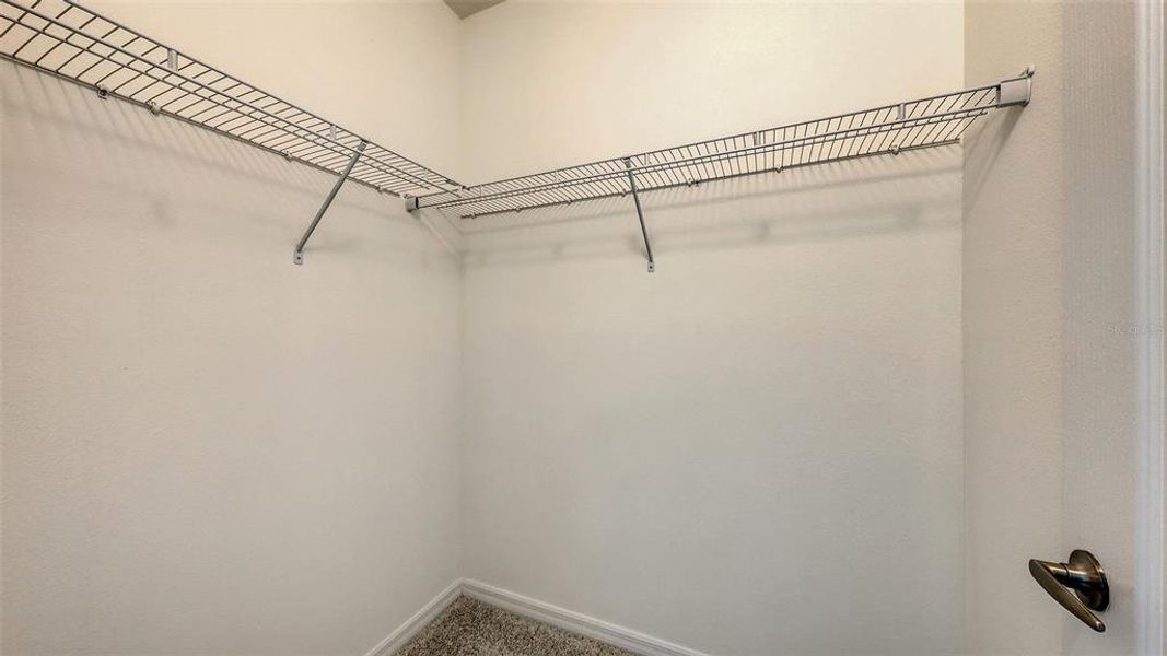 Image 37 of a home in Palm Grove.