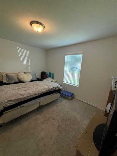 Bedroom with carpet floors and baseboards
