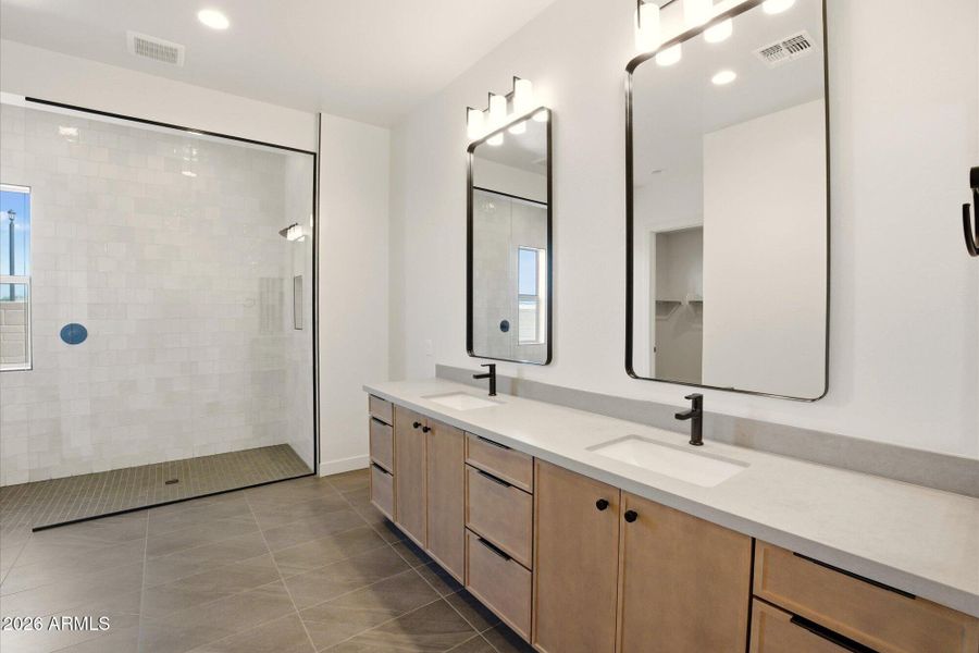 Luxury Shower & Vanity