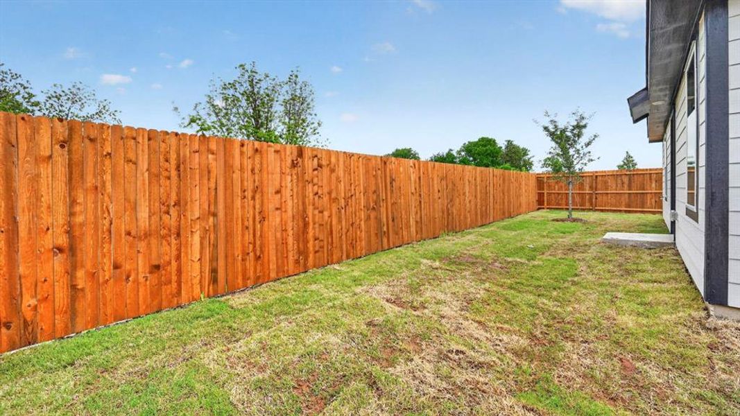 Expansive backyard featuring a new wood privacy fence, a young tree, and a concrete pad