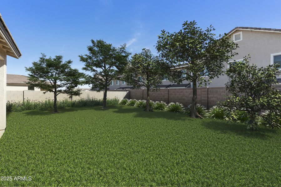 Backyard-add trees along back wall to hi