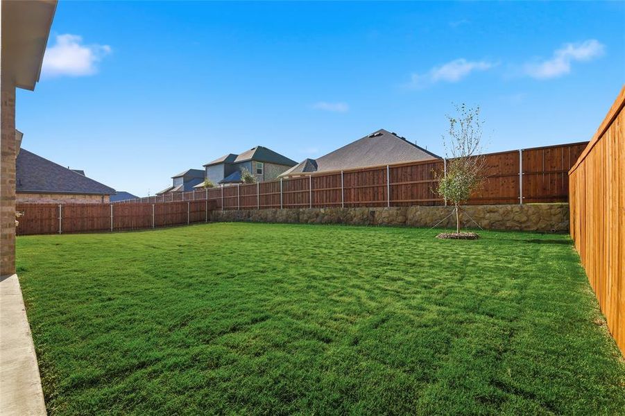View of fenced backyard