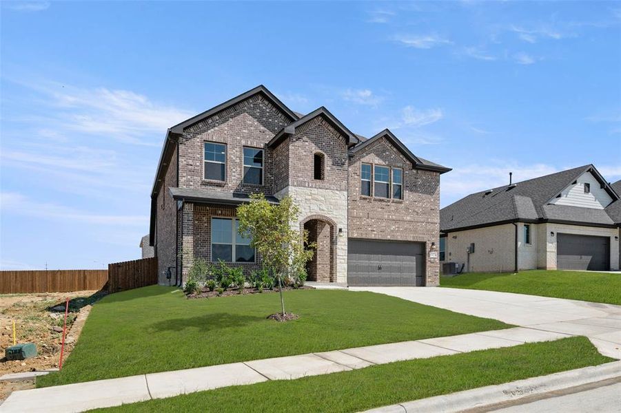 6924 Deadwood- Back-2 6924 Deadwood- Back-2