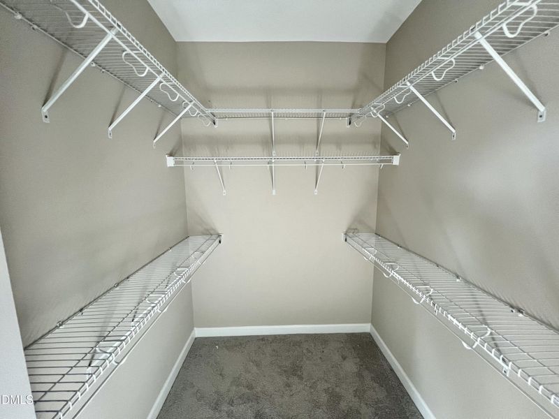 IMG_6579 2 IMG_6579 2