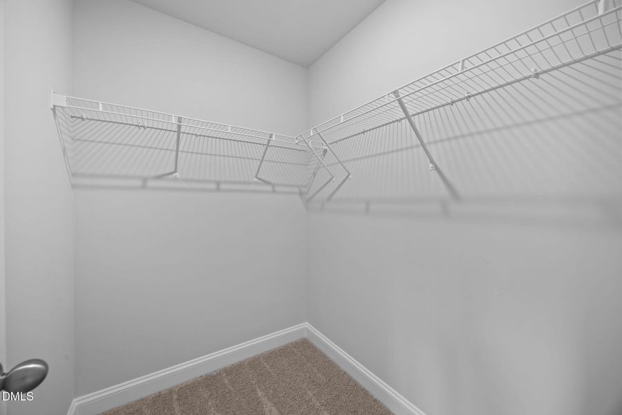 21-web-or-mls-IMG_9962