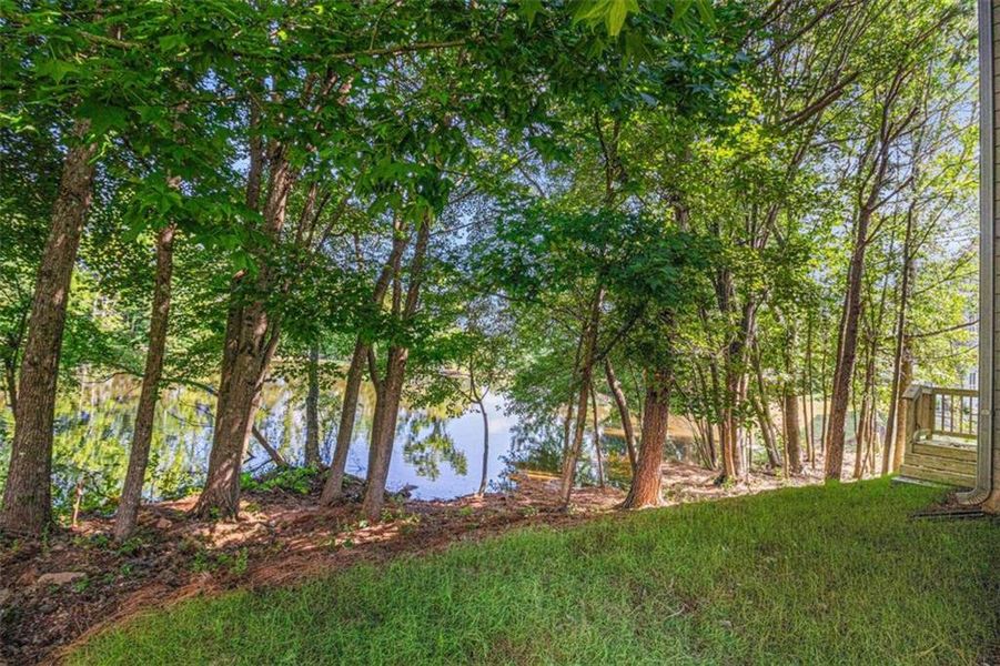 Natural landscape and outdoor views near  in Carrollton (Image 33).