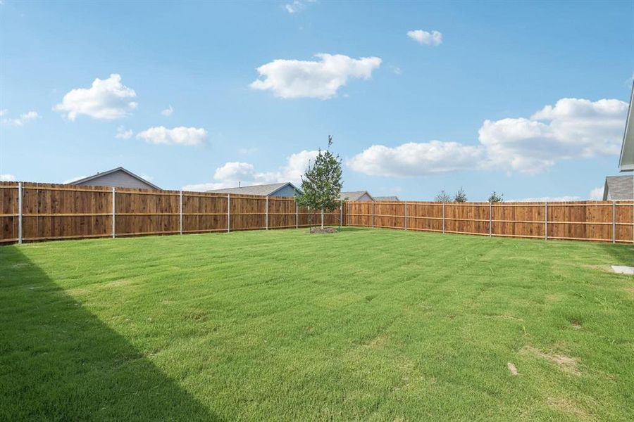 Expansive green lawn surrounded by a privacy fence, featuring a young tree and a concrete patio section Expansive green lawn surrounded by a privacy fence, featuring a young tree and a concrete patio section