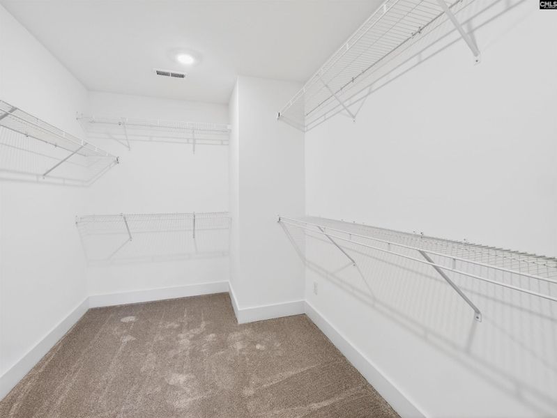 Spacious, unfurnished interior of a new home in Collins Cove, Chapin (Image 51).