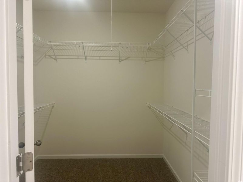 Spacious closet with dark carpet