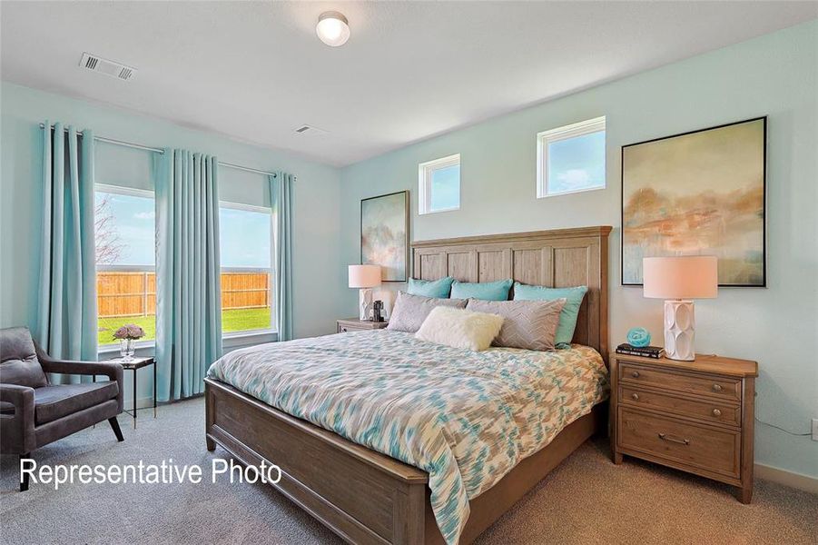 Spacious bedroom featuring light-toned walls, multiple large windows, and neutral carpeting